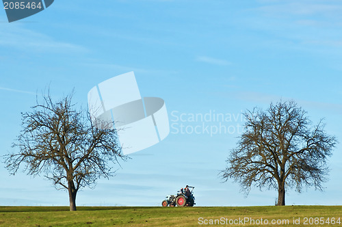 Image of Trecker within trees