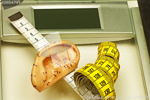 Image of acupuncture for weight loss