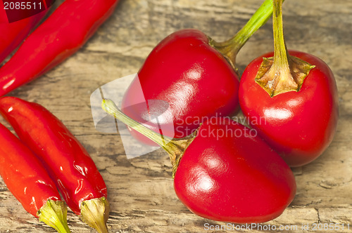 Image of cascabel chili