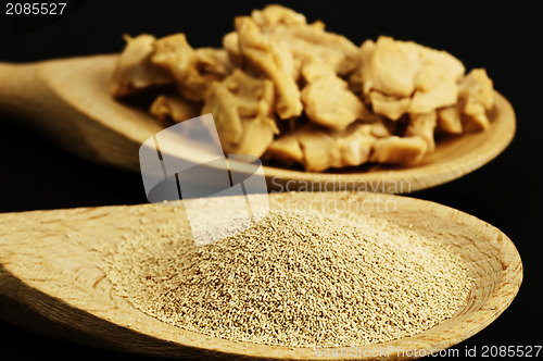 Image of baking ingredient yeast powder