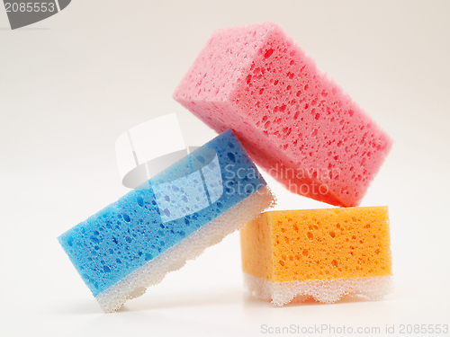 Image of Tricolor sponges