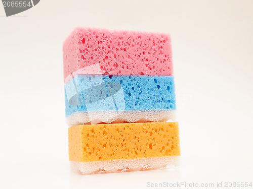 Image of Tricolor sponges