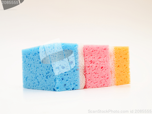 Image of Tricolor sponges