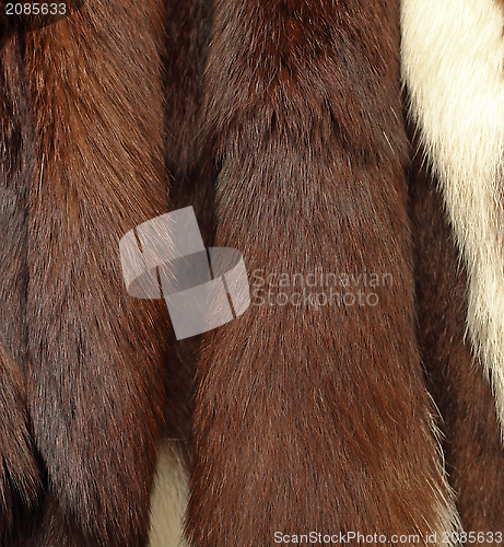 Image of detail of a fur coat