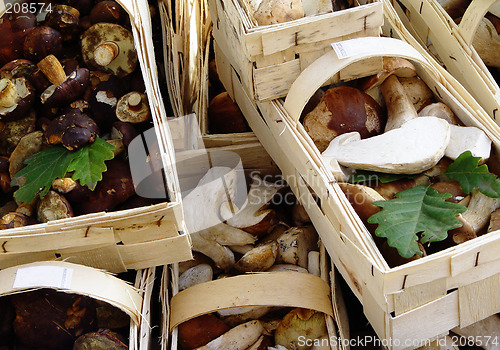 Image of mushroom baskets