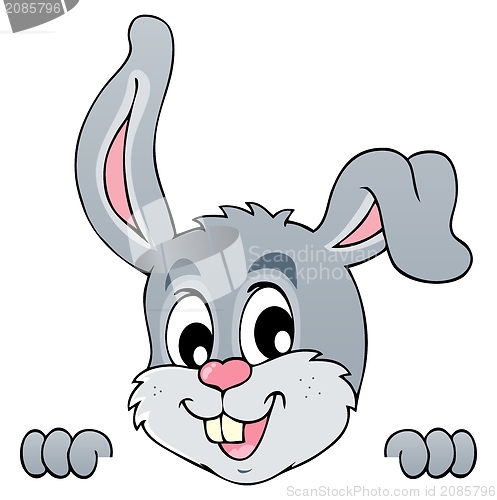 Image of Image with rabbit theme 5