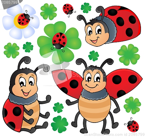 Image of Image with ladybug theme 1