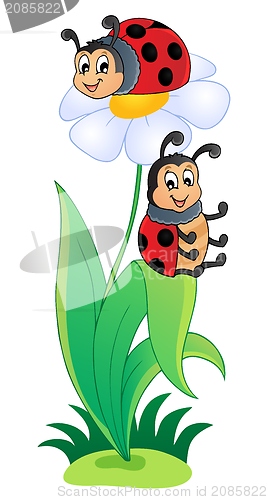 Image of Image with ladybug theme 3