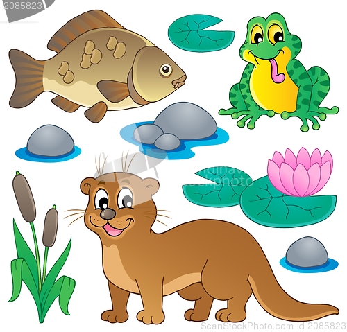 Image of River fauna collection 1