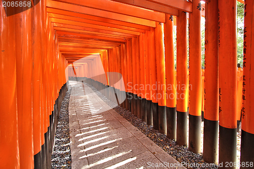 Image of Japan - Fushimi Inari