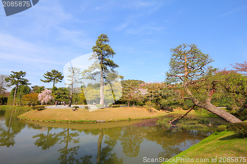 Image of Japanese garden