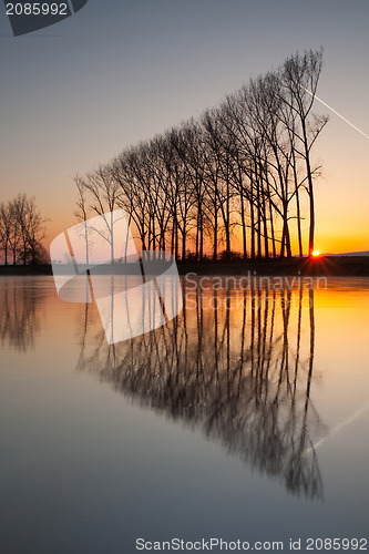 Image of The symmetry