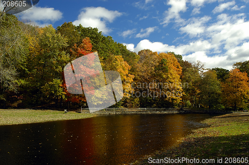 Image of Fall Foliage