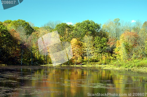 Image of Fall Reflection