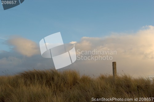 Image of Sea Grass, Clouds, Sky