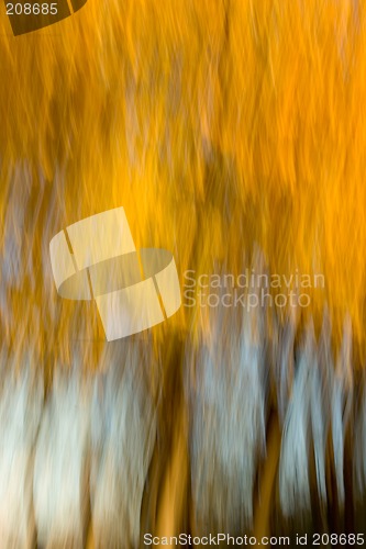 Image of Abstract/Impressionist Elm Grove