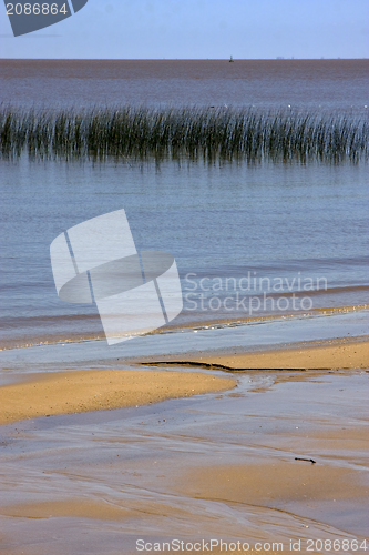 Image of rio de la plata uruguay