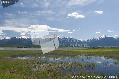 Image of The Mission Mountains