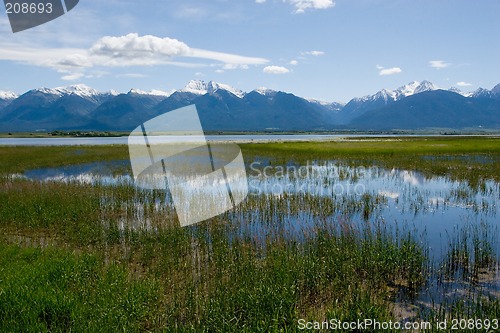 Image of The Mission Mountains