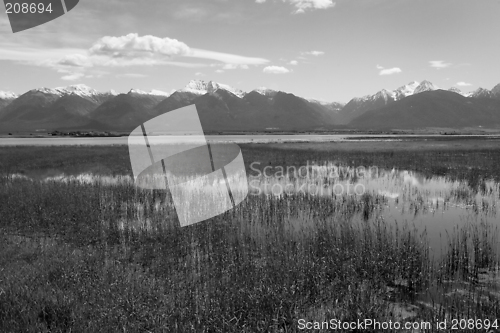 Image of The Mission Mountains