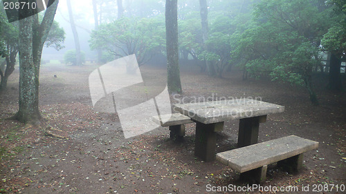 Image of wooden bench in misty park