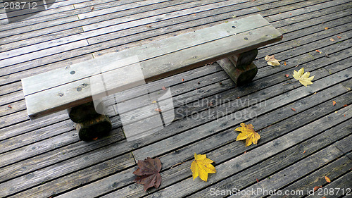 Image of bench in autumn park