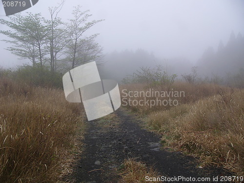 Image of misty mountain road