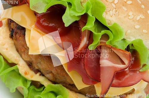 Image of Tasty Hamburger