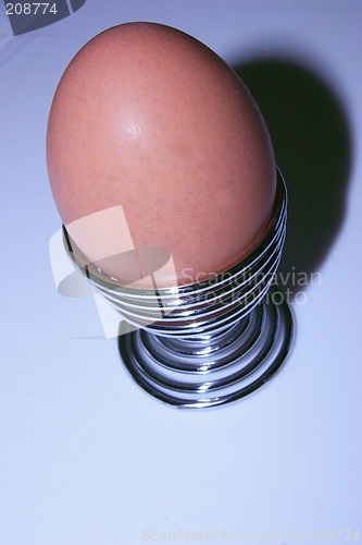 Image of egg