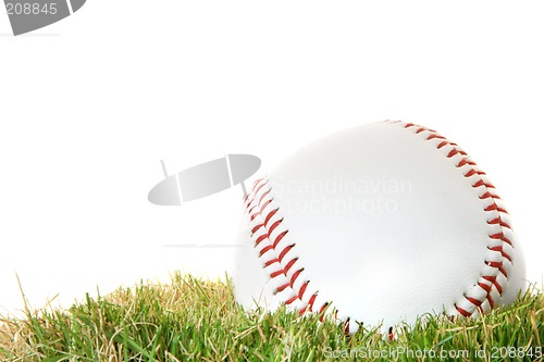 Image of Baseball on Grass