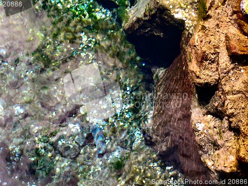Image of coins at bottom of river