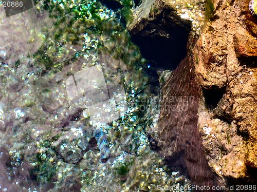 Image of coins at bottom of river