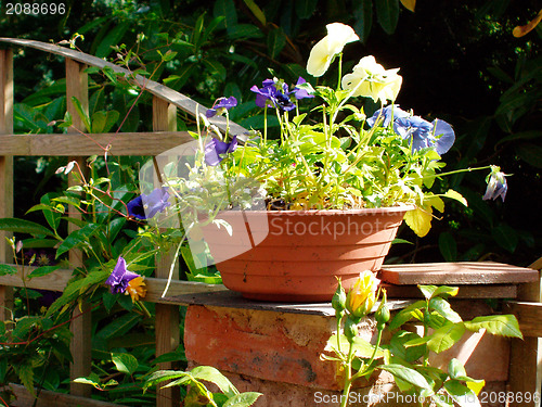 Image of Flower pot