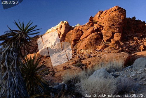 Image of Red Rock Canyon