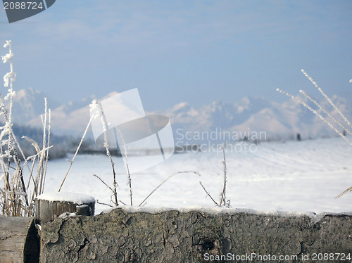 Image of Log fence