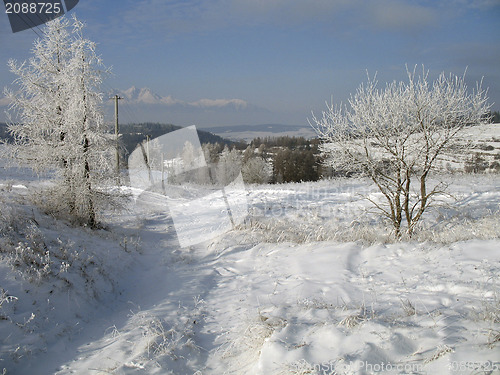 Image of Winter