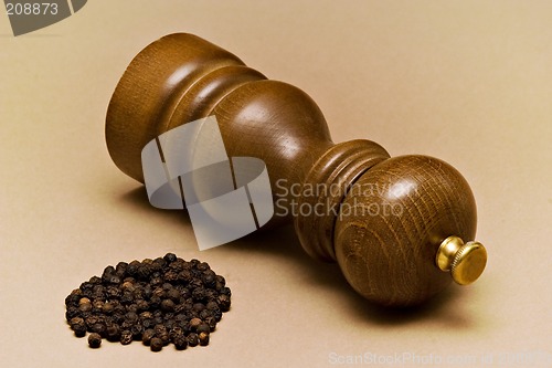 Image of Pepper-mill and Grains