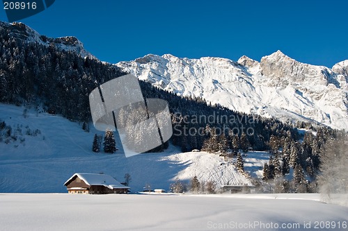 Image of Winter Scene