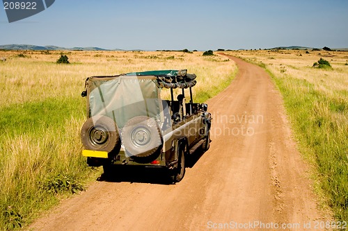 Image of African Savannah