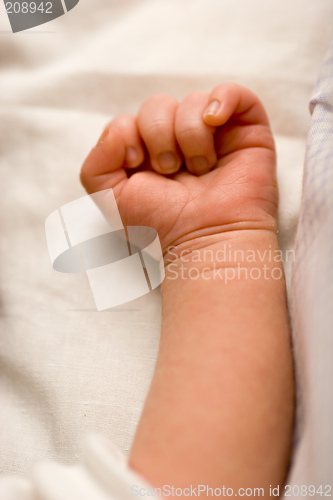 Image of Baby Arm
