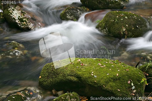 Image of Stream