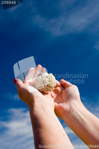 Image of Holding Flower