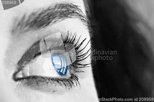 Image of Blue Eye