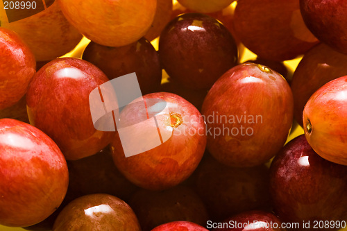 Image of Grapes