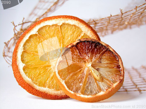 Image of orange