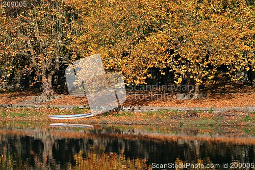 Image of Autumn Scene