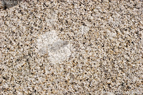 Image of Stone Wall Detail