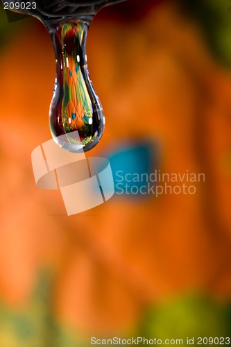 Image of Spring Drop