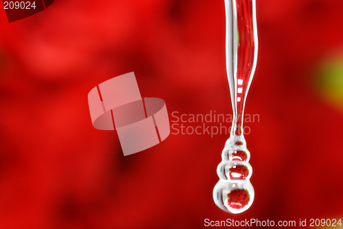 Image of Rose Drop