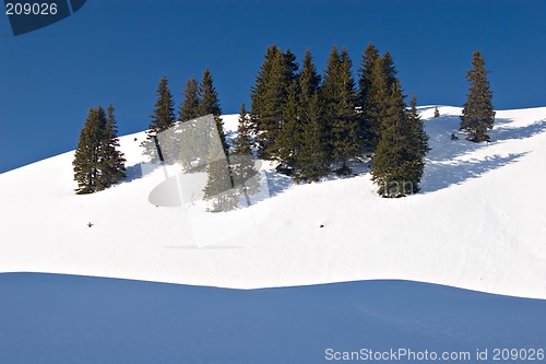 Image of Winter Scene